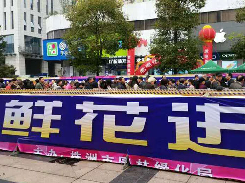 萬盆鮮花進家園2