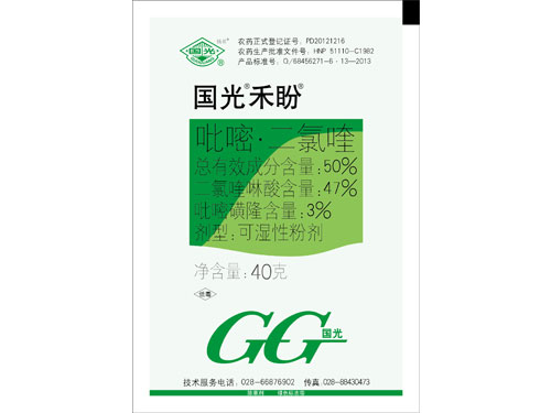 國(guó)光禾盼40g