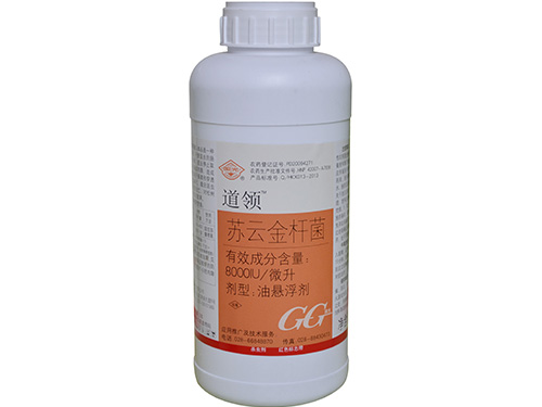 道領1L