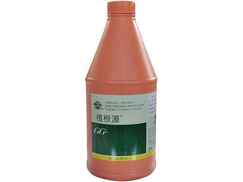 植根源1L
