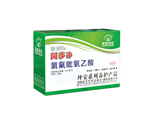 闊莎凈盒子