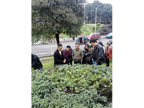 荷塘區(qū)養(yǎng)護(hù)講座 (3)