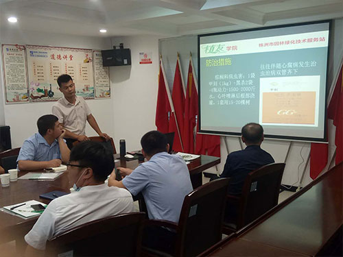 湖南建工匯博物業(yè)綠化養(yǎng)護技術(shù)交流會
