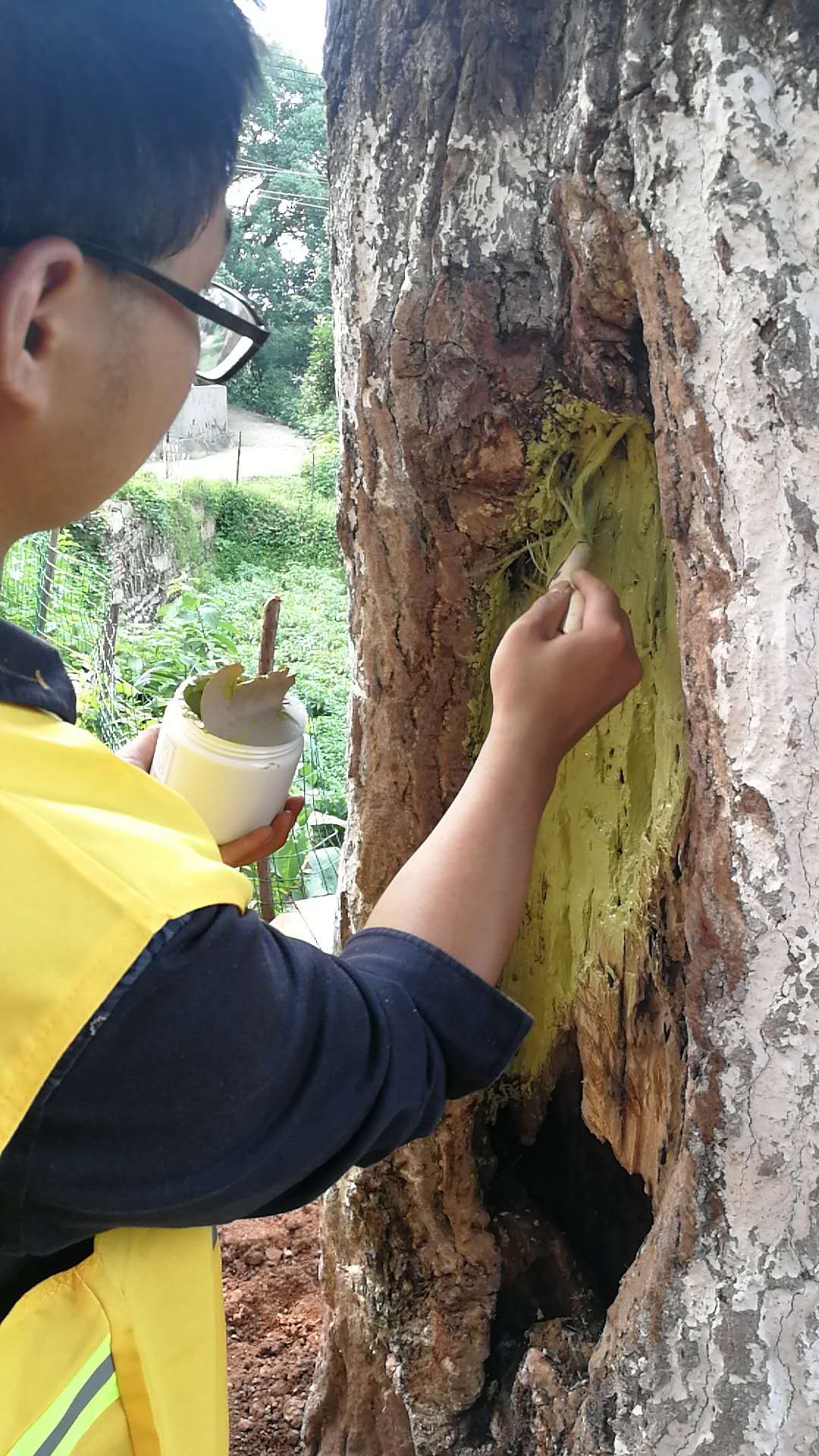 株洲植友職業(yè)培訓(xùn)學(xué)校有限公司_株洲園林綠化養(yǎng)護(hù)|株洲綠化管理|病蟲(chóng)害防治哪里的好|株洲園林綠化工程公司|白蟻防治病蟲(chóng)害治理
