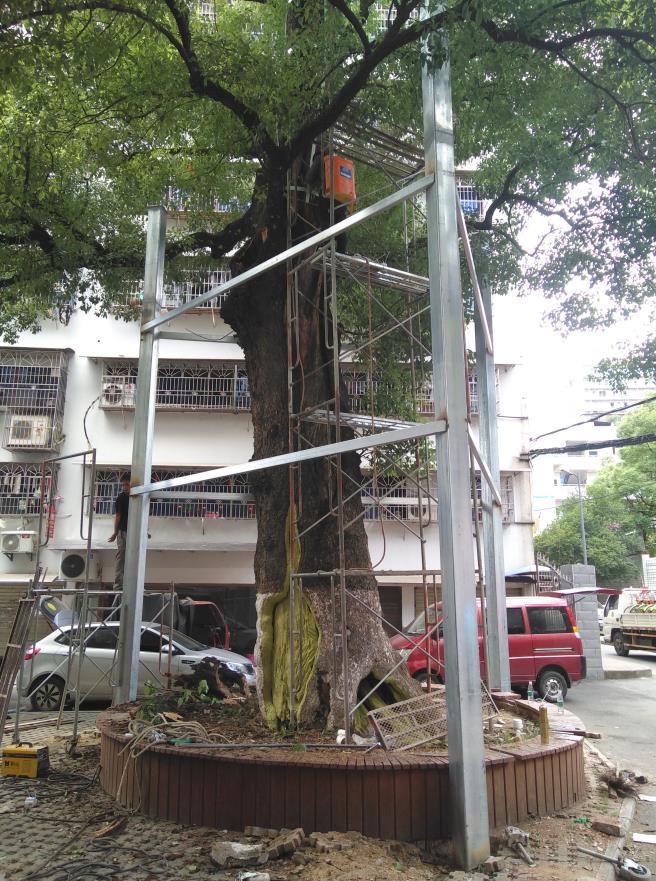 株洲植友職業(yè)培訓(xùn)學(xué)校有限公司_株洲園林綠化養(yǎng)護(hù)|株洲綠化管理|病蟲害防治哪里的好|株洲園林綠化工程公司|白蟻防治病蟲害治理